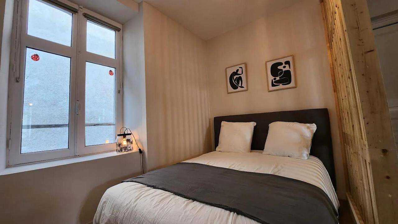 Appartement entier, Les Appartements de Louis Spacieux-centre ville-mairie in Limoges, Région de Limoges