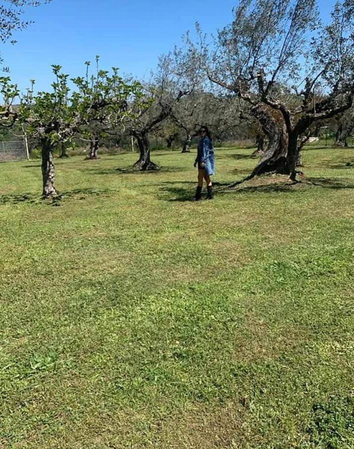 Ferienwohnung für 6 Personen, mit Ausblick und Garten, mit Haustier