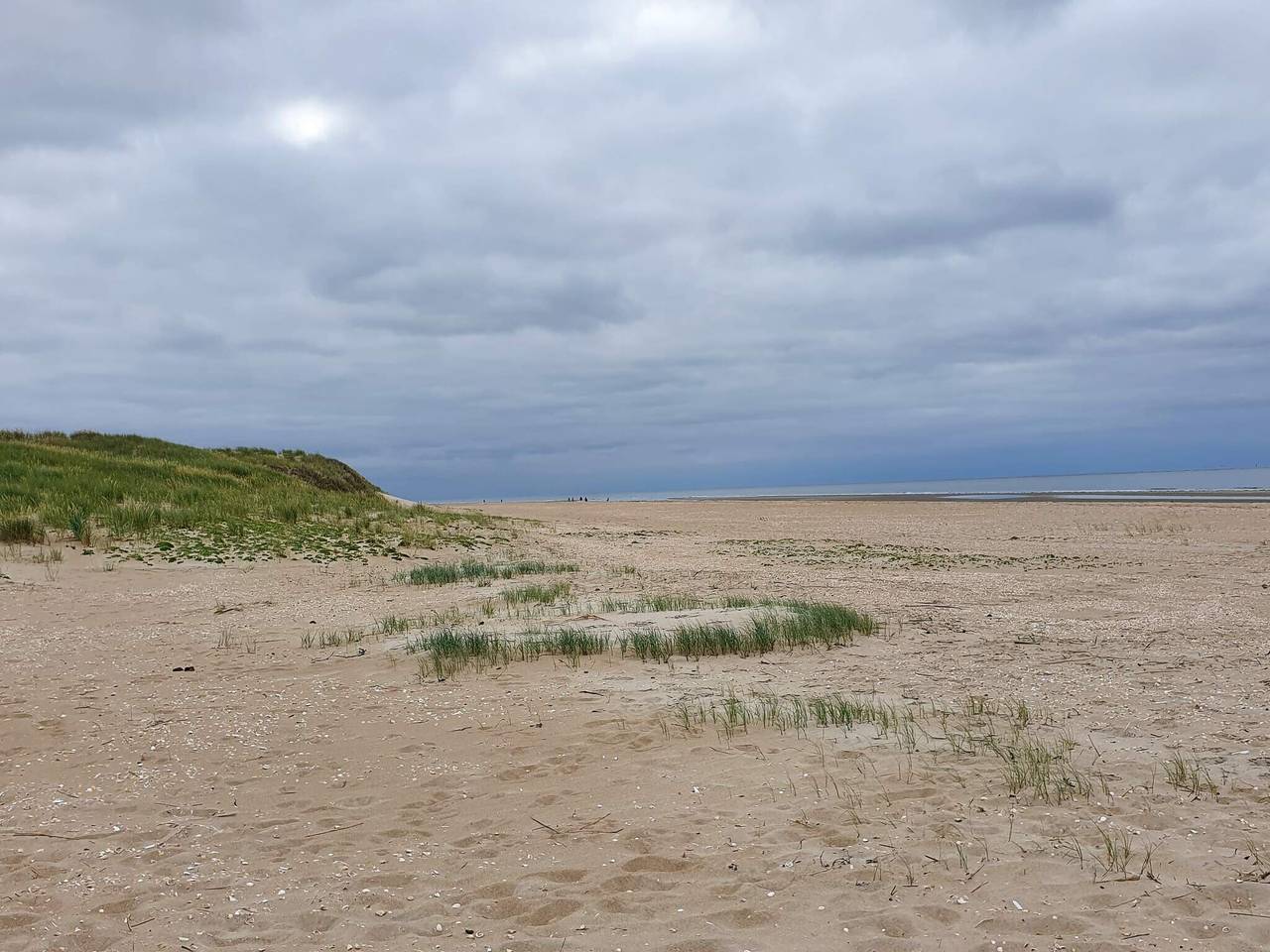 Moderne tilflukt naer Vadehavet in Sønderstrand, Tagholm