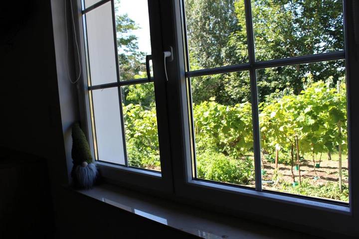 Ferienwohnung für 2 Personen, mit Whirlpool und Terrasse sowie Garten und Sauna in Märkische Schweiz - 2