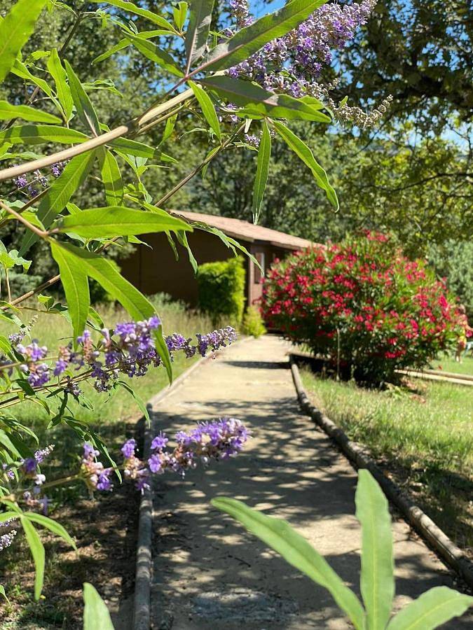 Gîte pour 7 personnes, avec jardin ainsi que vue et piscine, animaux acceptés à Mirabel - 4