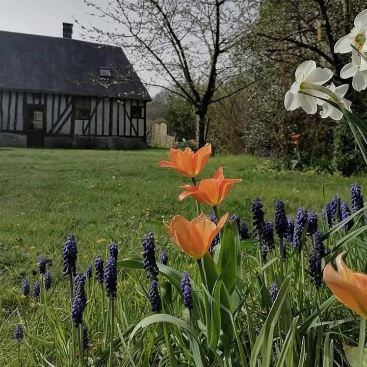 Four-Bedroom House in Écaquelon, Région de Bernay