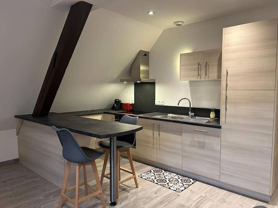 Appartement entier, One-Bedroom Apartment in Ribeauvillé, Parc naturel régional des Ballons des Vosges