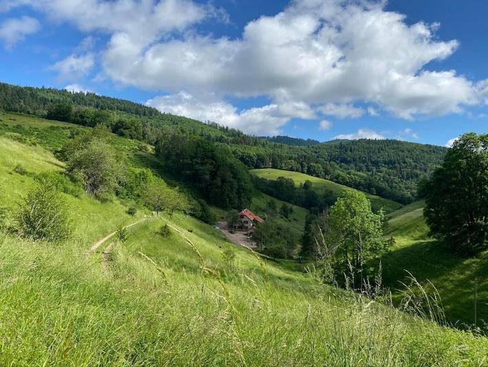 Maison de vacances pour 6 personnes, avec jardin ainsi que sauna et vue, animaux acceptés
