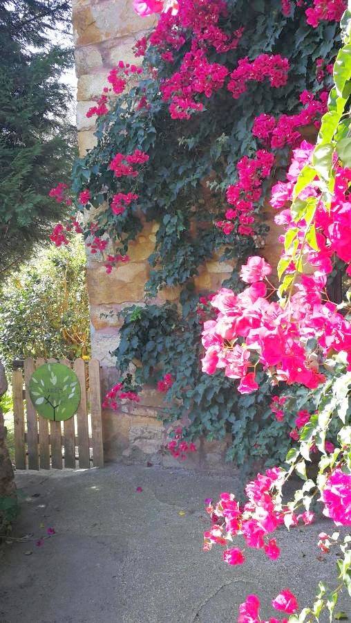 Double Room in Ribadesella, Costa Verde