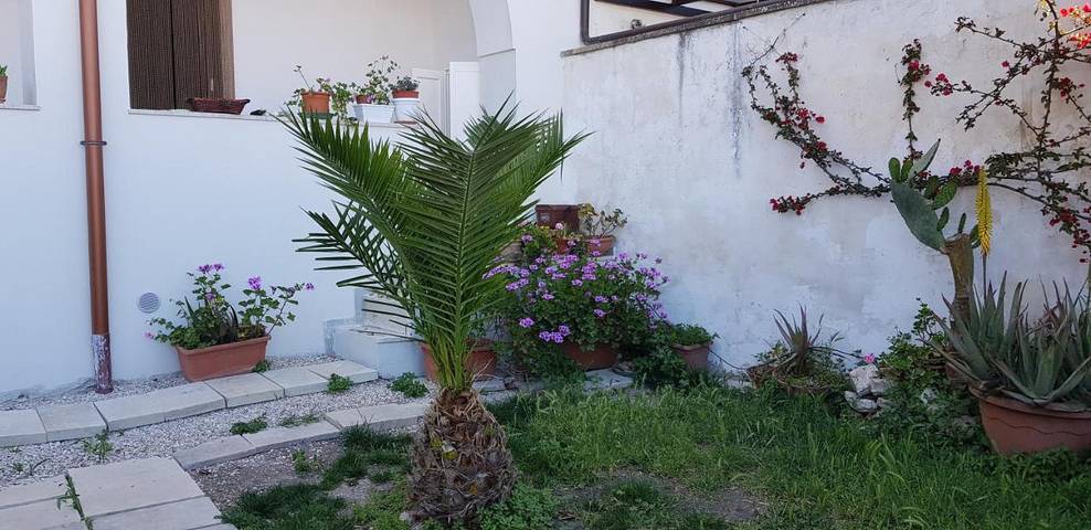 Gîte pour 3 personnes, avec vue et jardin à Brindisi - 4