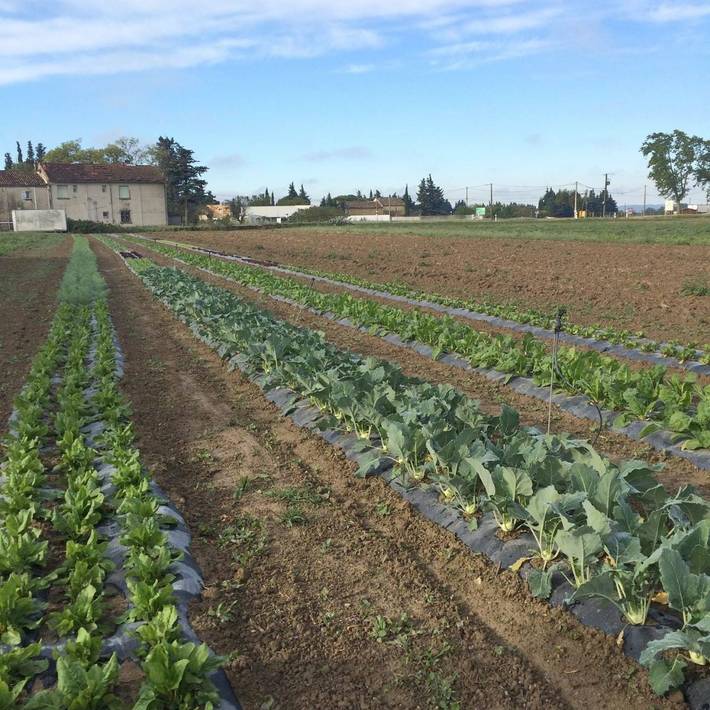 Location de vacances pour 2 personnes, avec vue ainsi que terrasse et jardin, animaux acceptés à Orange - 4