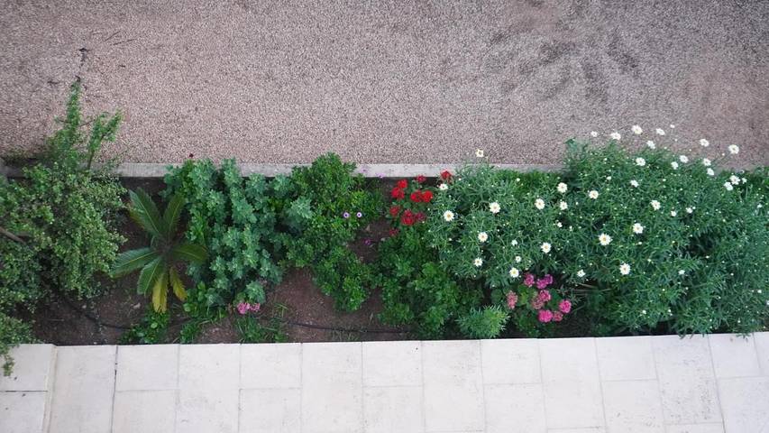 Location de vacances pour 5 personnes, avec piscine ainsi que vue et jardin, animaux acceptés à Cala Morell - 4