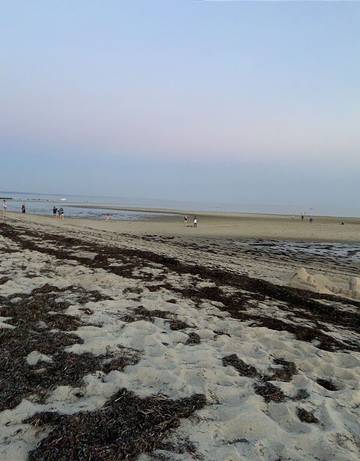 Cottage for 3 People in Provincetown, Cape Cod, Photo 2
