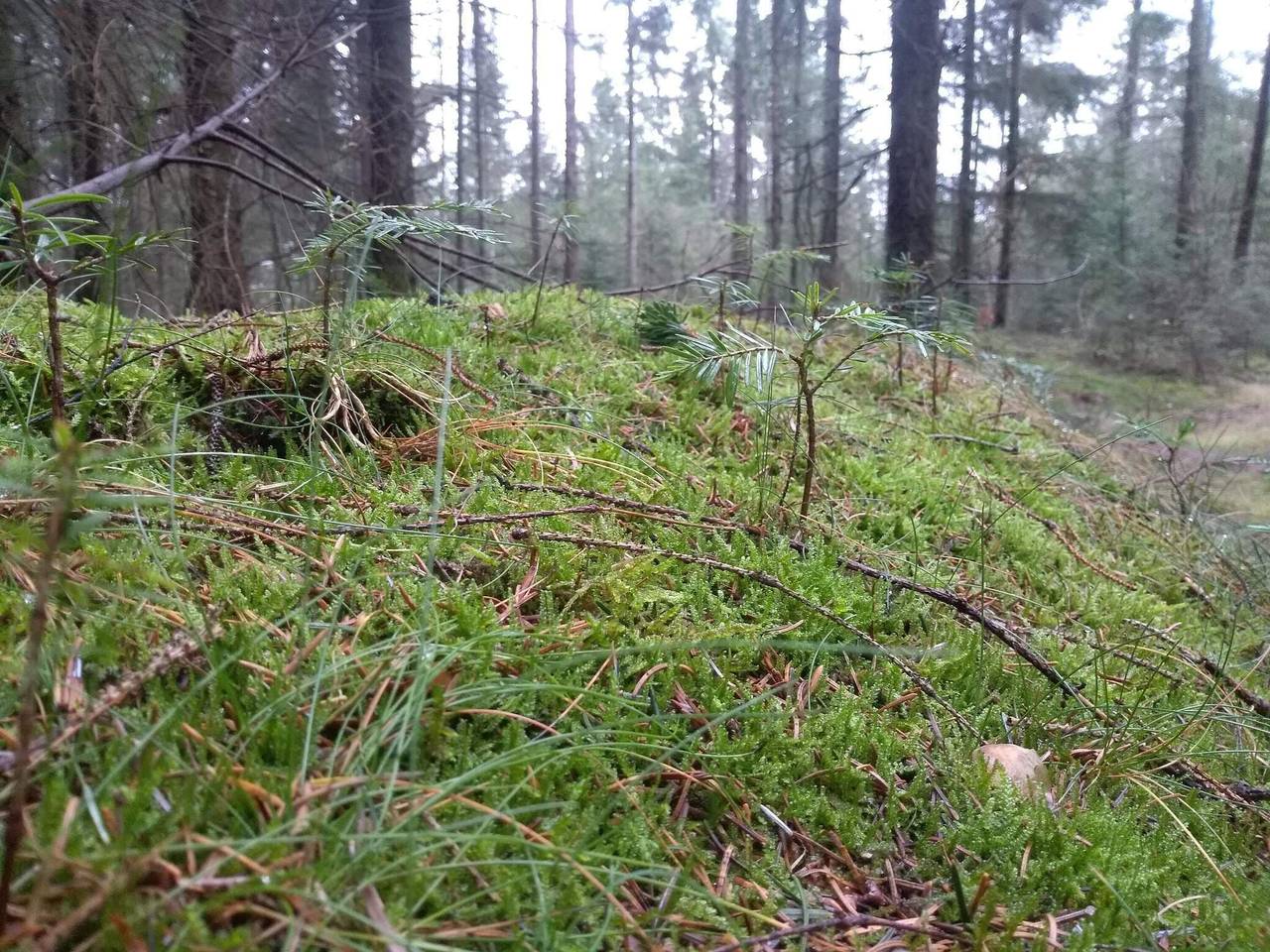 Luksuriøst tilfluktssted med basseng in Jegum, Jegum Ferieland