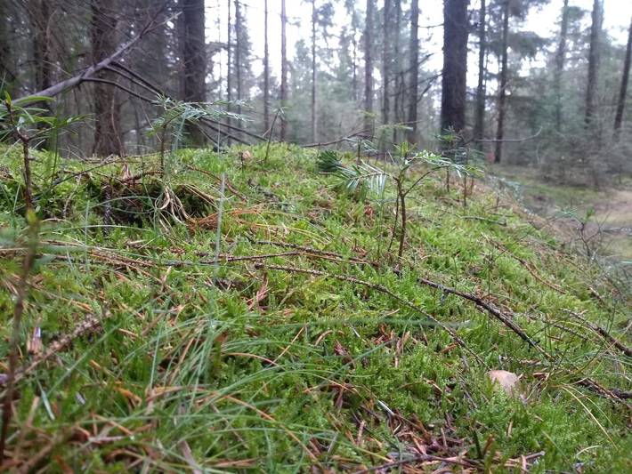 Ferienhaus für 8 Personen, mit Pool und Terrasse, kinderfreundlich in Jegum - 3