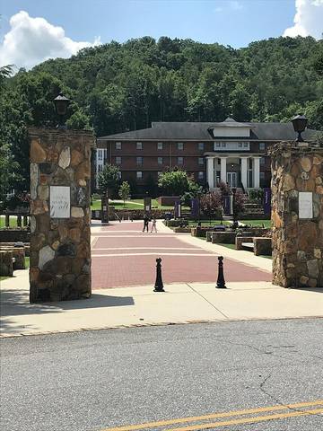 Log Cabin for 4 Guests in Chattahoochee National Forest, Towns County, Picture 2