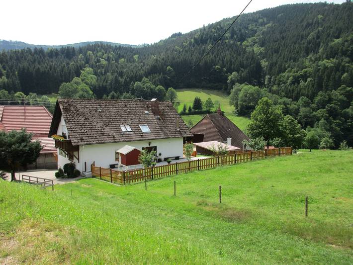 Ganze Wohnung, Ferienwohnung 'Faller' mit privater Terrasse, Balkon und Wlan in Elzach, Mittlerer Schwarzwald