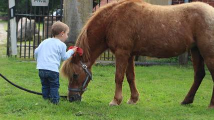 Maison De Vacances pour 20 Personnes dans Eggermühlen, Basse-Saxe, Photo 4