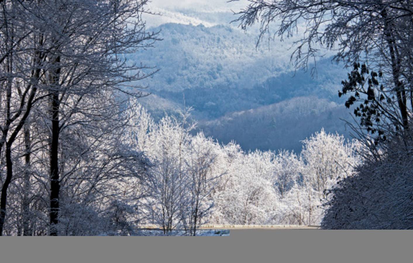 Entire apartment, Lake / Mountain Cabin w/Pool, Game Room, Hot Tub in Douglas Lake