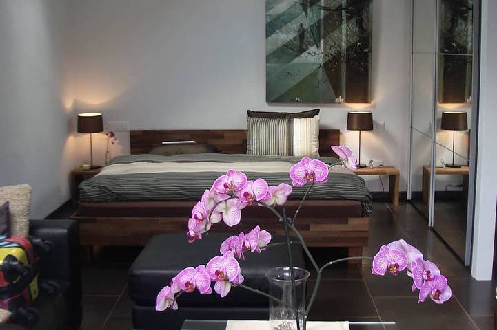 Gîte pour 3 personnes, avec Balcon en Suisse - 2