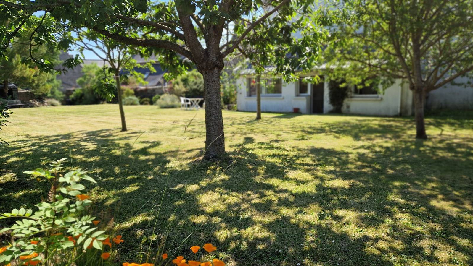 Grande maison de caractère avec jardin clos proche mer in Trédarzec, Côte de Granit Rose