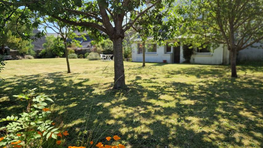 Gîte pour 7 personnes, avec terrasse et jardin, animaux acceptés à Trédarzec - 2