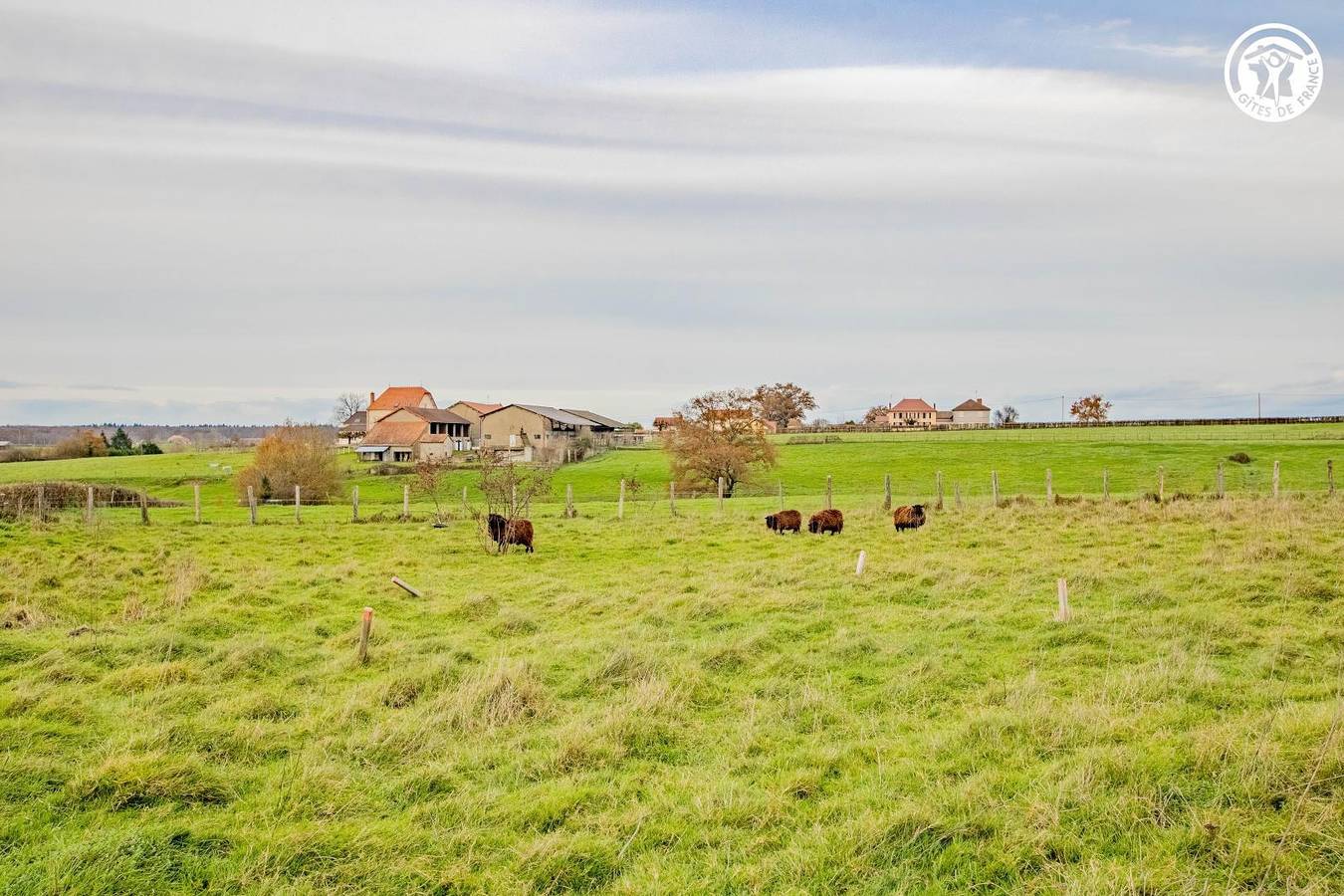 Videlina in Saint-Aubin-en-Charollais, Région de Charolles