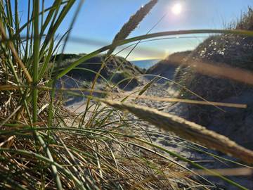 Ferieudlejning til 6 Personer i Houvig Strand, Holmsland Klit, Billede 4