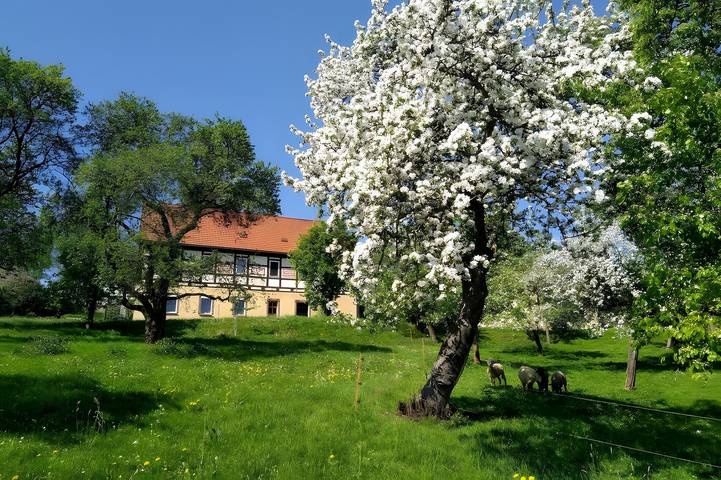 Ferienwohnung für 5 Personen, mit Garten im Erzgebirge