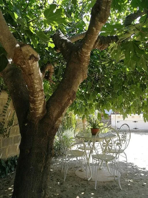 Casa de vacaciones para 9 personas, con terraza además de jardín y vistas - 1
