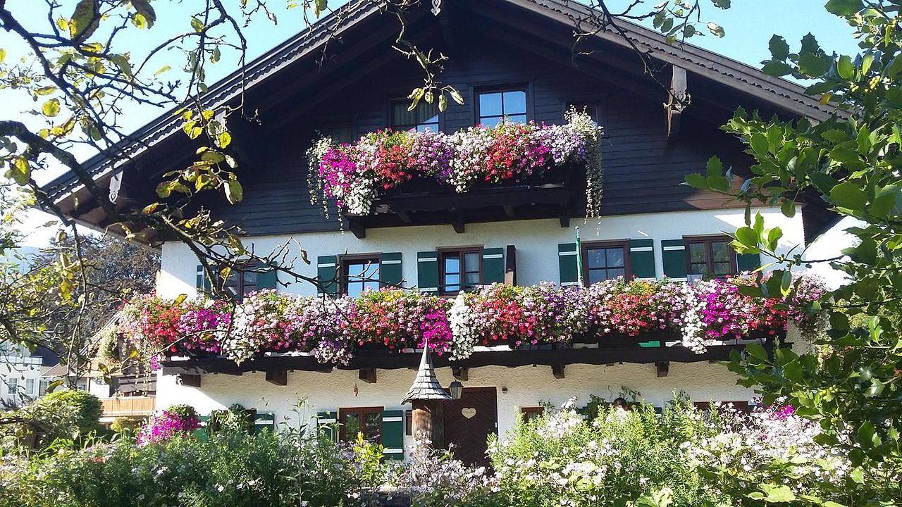 Cały apartament wypoczynkowy, Ferienwohnung für 3 Personen (65 m²) in Großgmain in Großgmain, Inn-Salzach Region