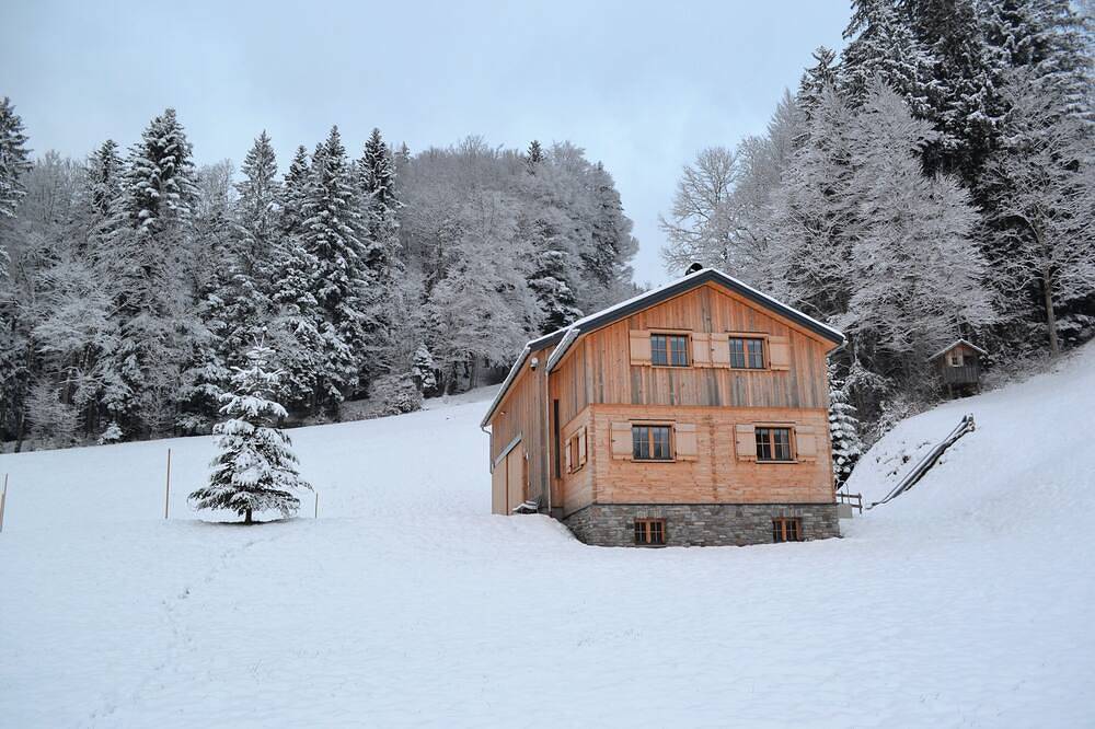 Modern vacation hut in a quiet, secluded location at the foot of the Hirschberg, with terrace in Bizau, Bregenz Forest