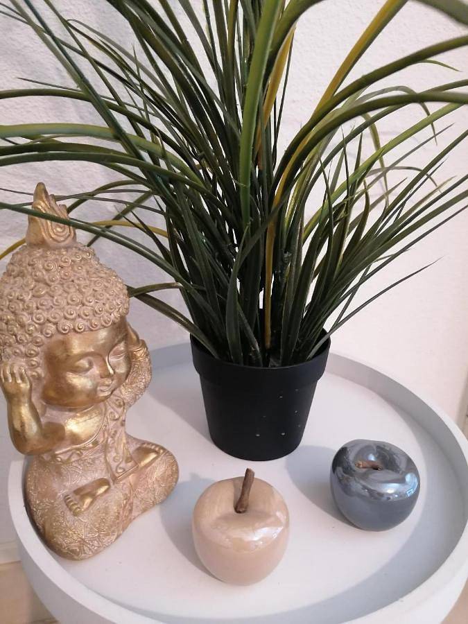 Gîte pour 3 personnes, avec vue et terrasse à Alénya - 2