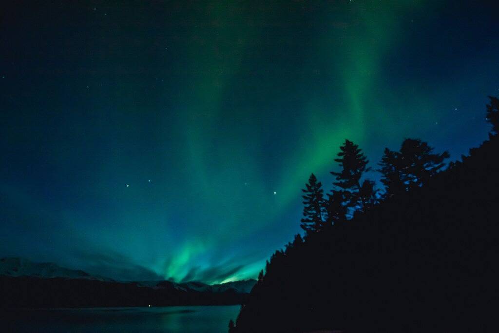Die Fox Den! Wunderschöne abgelegene Ocean Front Cabin in der Resurrection Bay! in Kenai Peninsula