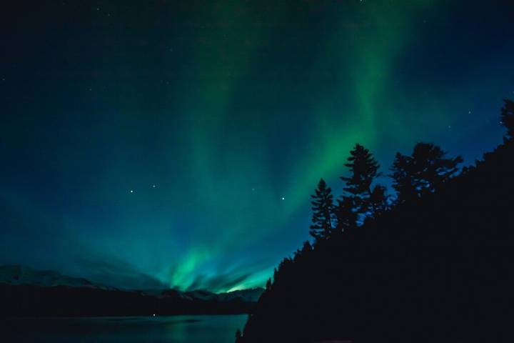 Cabane en bois pour 4 personnes, avec jardin, animaux acceptés dans Alaska - 4