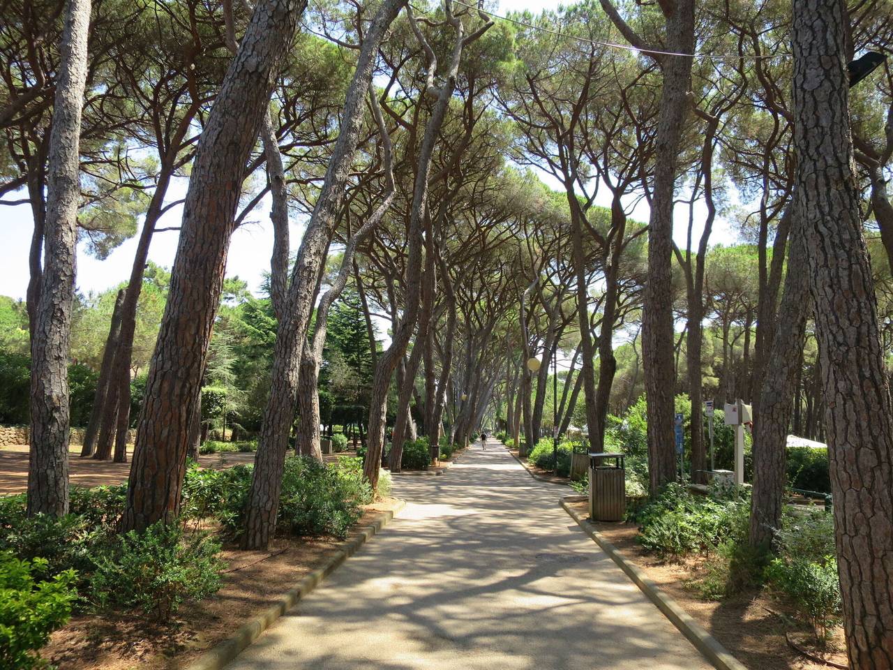 Apartamento entero, Castiglioncello 658 - Al Mare 658.1 in Castiglioncello, Costa Etrusca