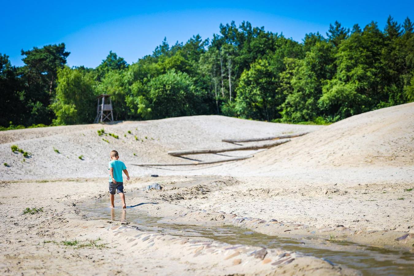 Cabane en bois pour 4 personnes avec piscine in Bergeijk, Brabant-Septentrional