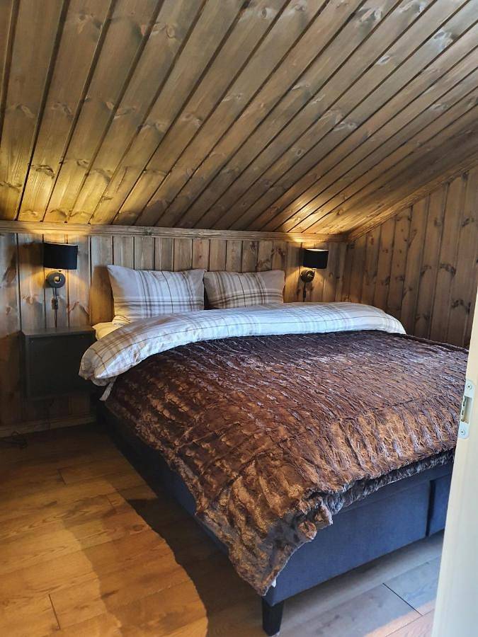 Holiday Home in Bø
