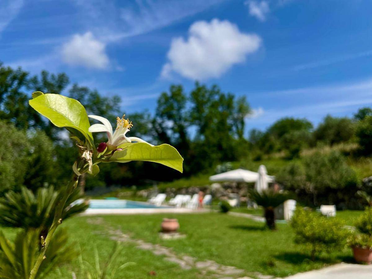 Villa with Private Pool in Sant'Agata de' Goti, Provincia di Benevento