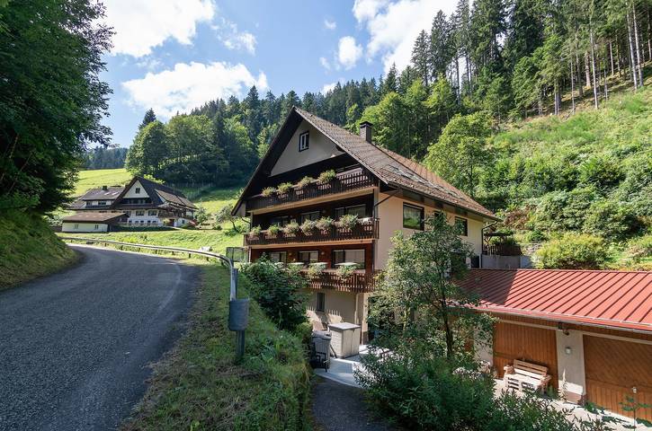 Appartamento intero, Ferienwohnungen Huber: Appartamento Bergblick, 55 mq, 2 camere, max 3 persone in Bad Peterstal-Griesbach, Foresta Nera centrale