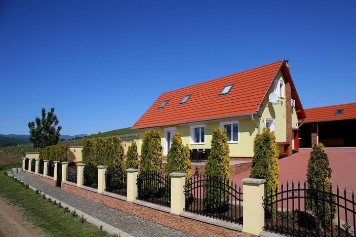 Location de vacances pour 10 personnes, avec sauna ainsi que jardin et jacuzzi à Eger - 4