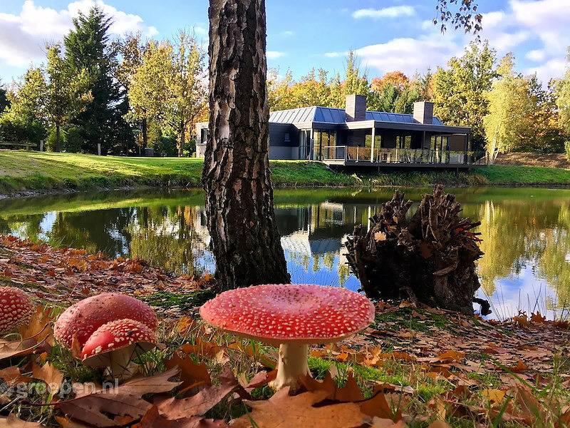 Vakantievilla Denekamp in Denekamp, Twente