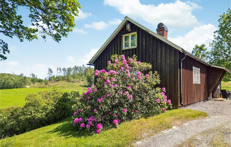 Ferienhaus für 4 Personen mit Terrasse in Dalsland