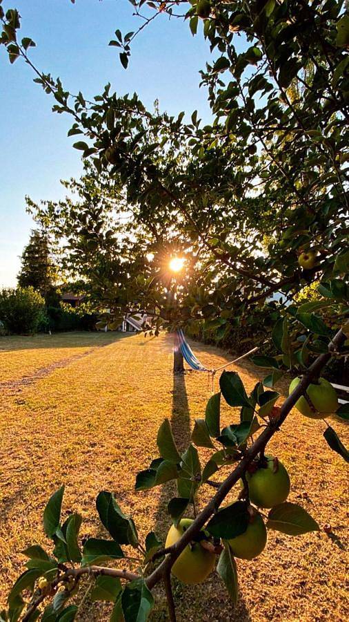 Location de vacances pour 6 personnes, avec jardin ainsi que terrasse et vue à Brassac-les-Mines - 4