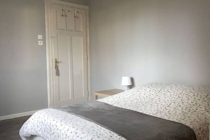Ganze Wohnung, Heart of Metz, 2 rooms free parking wifi 75m² \"Le Saint Bernard in Metz, Metz Region