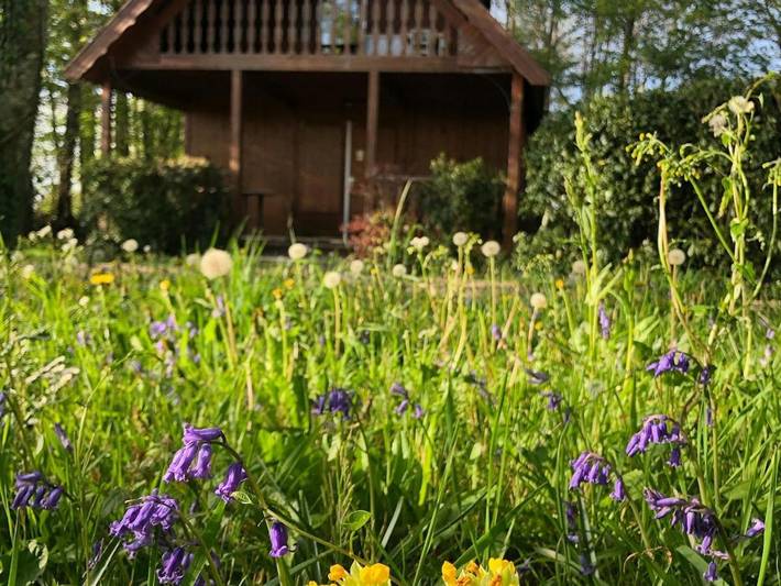 Location de vacances pour 14 personnes, avec terrasse ainsi que jardin et piscine à Préveranges - 3