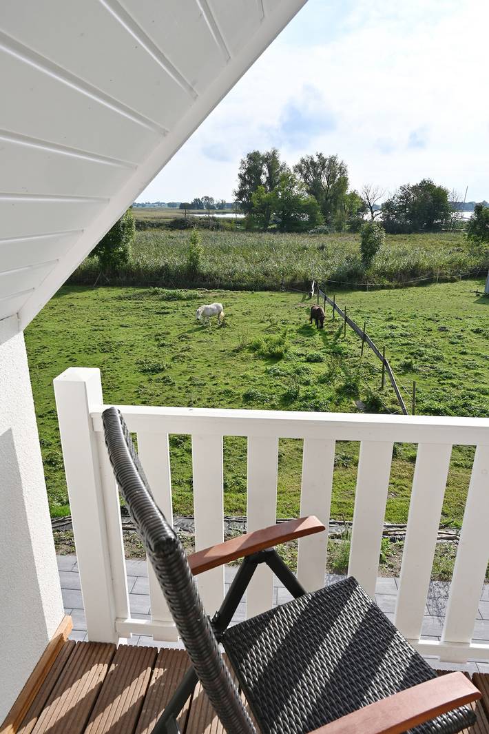 Ferienhaus mit Reetdach, großem Grundstück und Privatweg zum Hafen in Puddemin, Poseritz