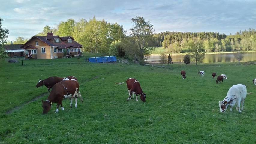 Ferienhaus für 5 Personen, mit Terrasse und Garten sowie Seeblick und Ausblick in Nyköping kommun