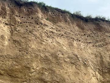 Ferienhaus für 20 Personen in Bagenkop, Langeland, Bild 4