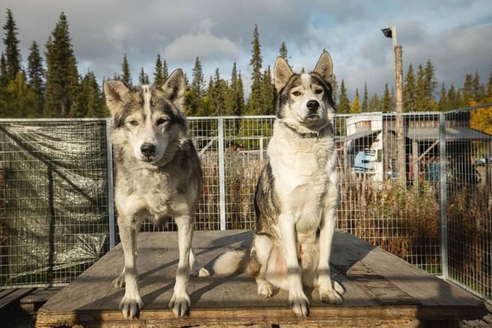 Chalet für 4 Personen, mit Terrasse, mit Haustier in Lappland (Schweden) - 3