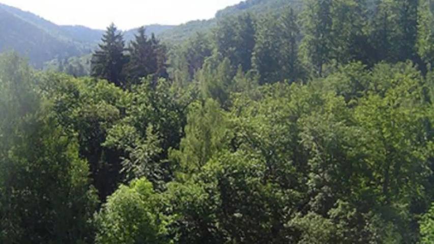 Ferienwohnung für 3 Personen, mit Balkon und Pool sowie Sauna, mit Haustier in Bad Harzburg
