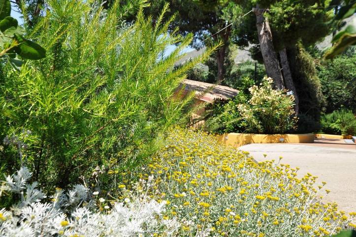 Station pour 4 personnes, avec jardin dans Marina di Camerota - 4