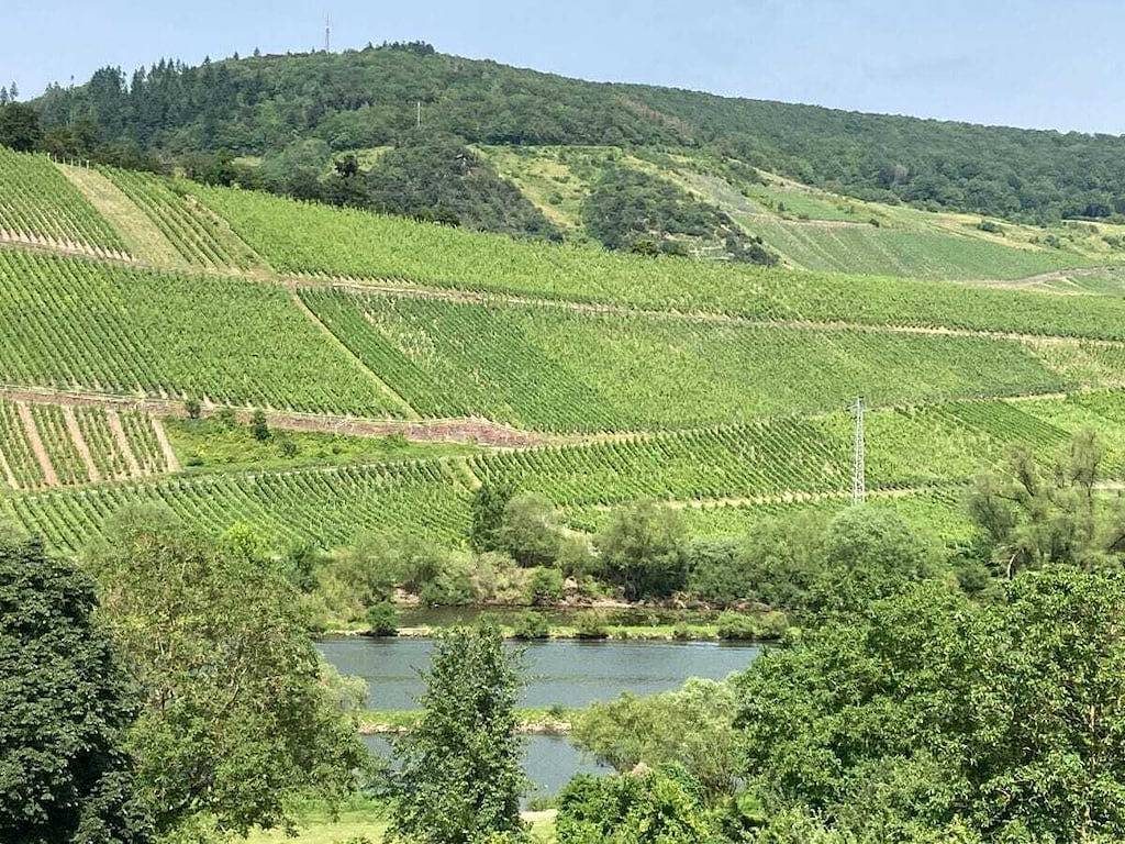 Burgblick Pünderich in Pünderich, Traben-Trarbach und Umbegung