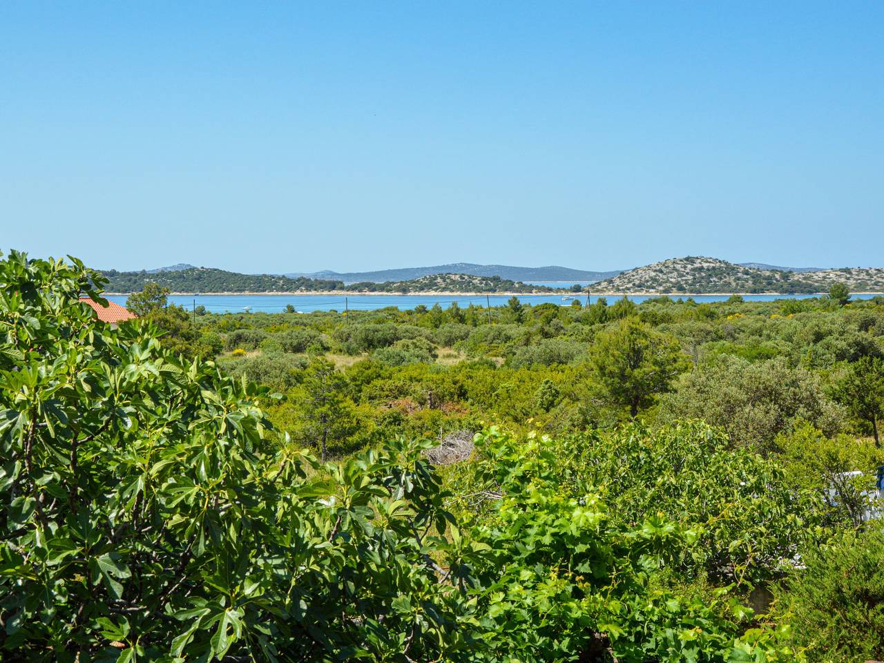 Karmela in Vodice, Šibenik-Knin
